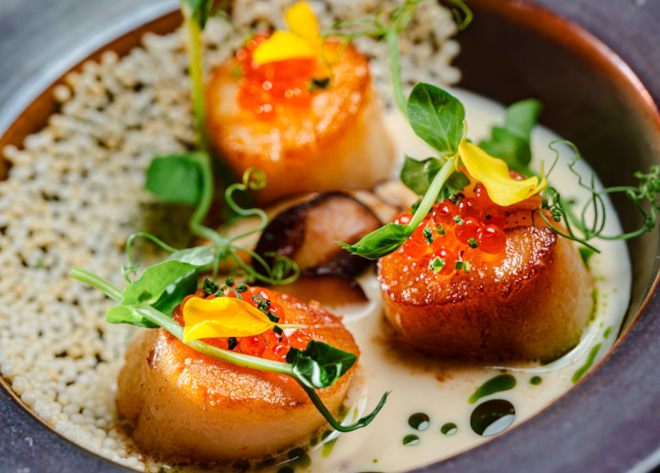 scallops
