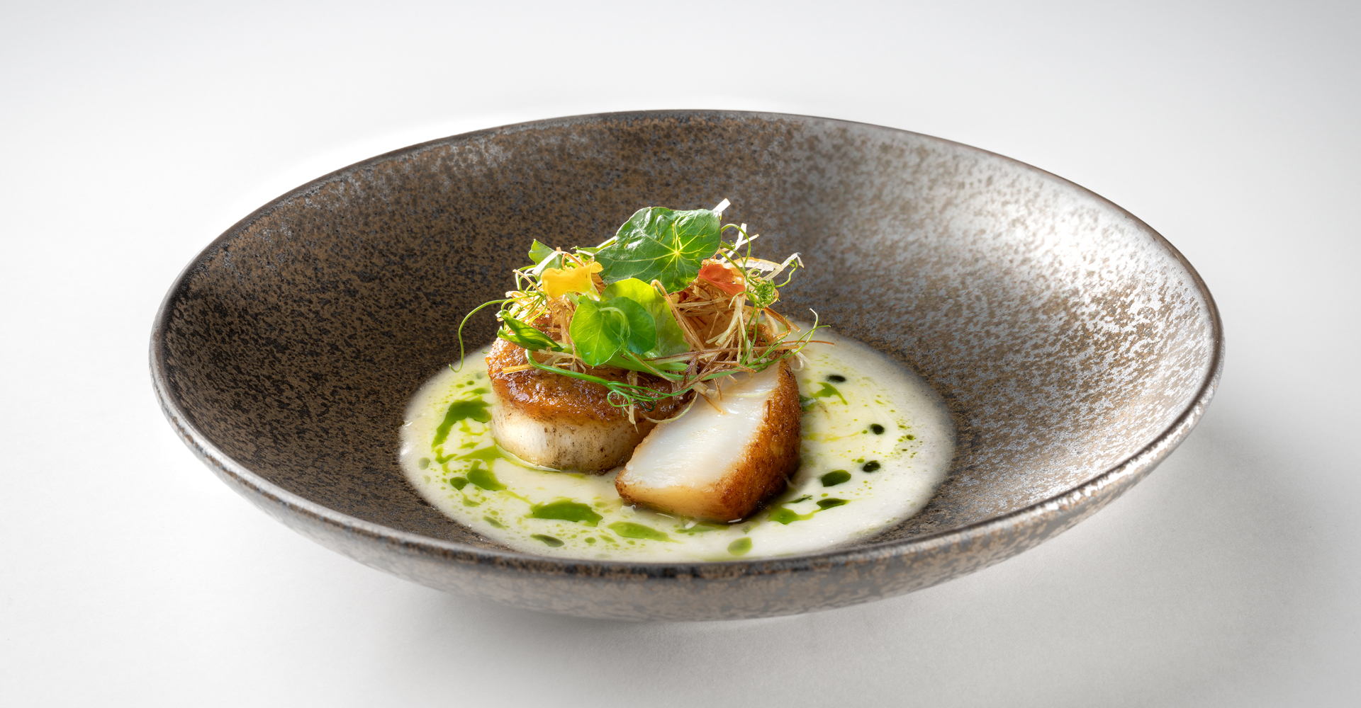 Mugen Scallop